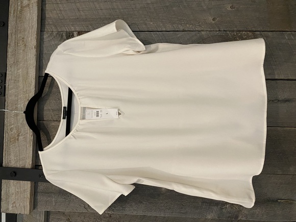 Ann Taylor Tops - Ann Taylor gorgeous short-sleeve, ruffle-back top. Brand new with tags.